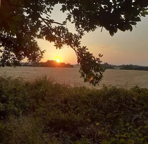 بيت للعطل Avec Piscine - 4 Personnes - Pays Cathare